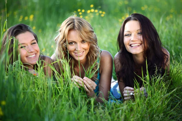 Жінки трава весело — стокове фото
