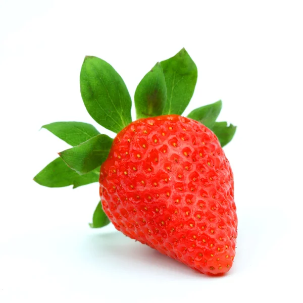 Eine Erdbeere — Stockfoto