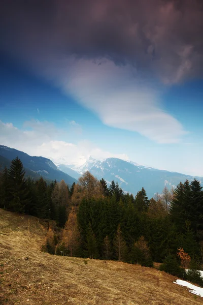 Spring Alpen — Stockfoto