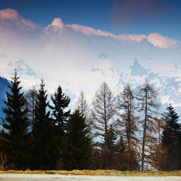 Alpi primaverili — Foto Stock