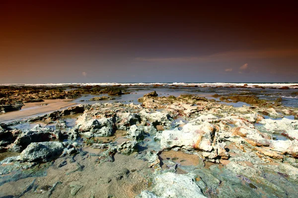 Reef beach — Stock Photo, Image