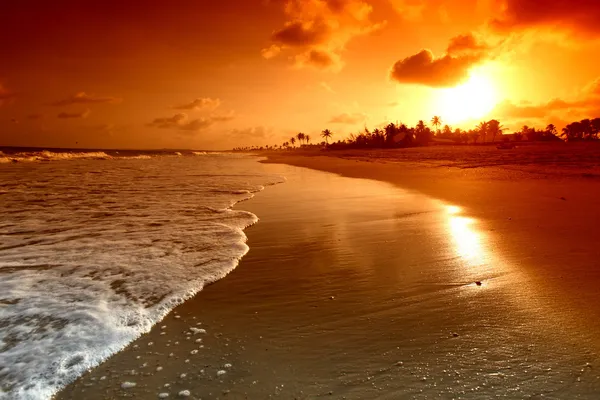 Океан солнца — стоковое фото
