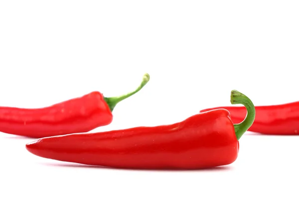 Chili pepper — Stock Photo, Image