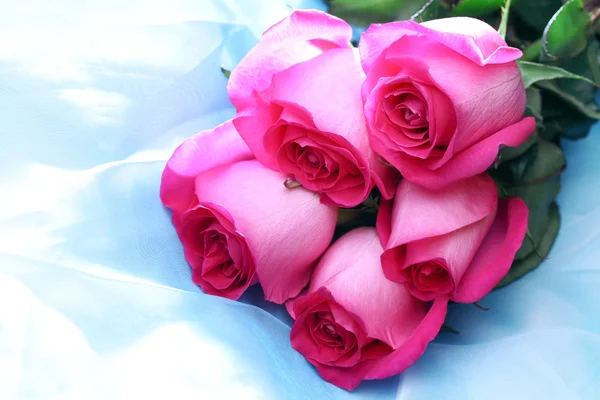 Trandafir roz — Fotografie, imagine de stoc