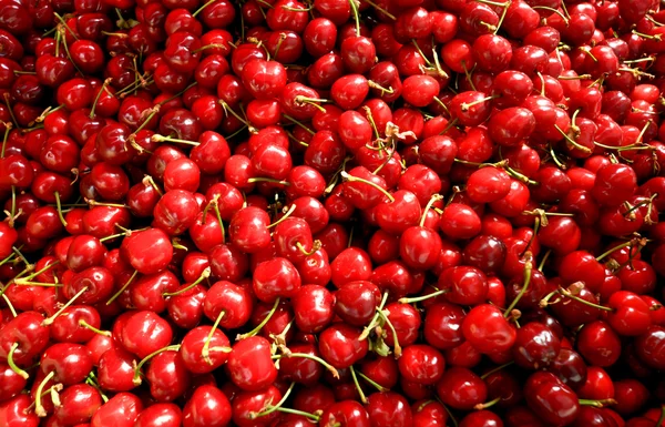 stock image Lots of ripe cherries with green leaves