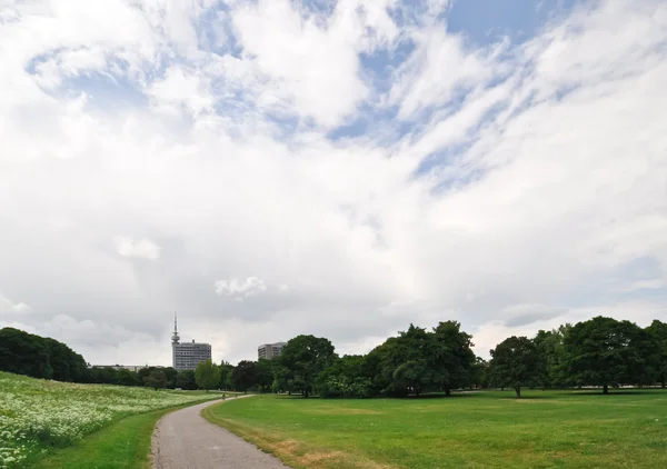 Parque de la ciudad en Munich en un día nublado — Foto de Stock