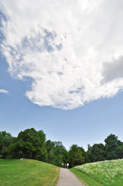 Τοπίο με πράσινα φύλλα ζουμερά και όμορφη cumulus σύννεφα — Φωτογραφία Αρχείου