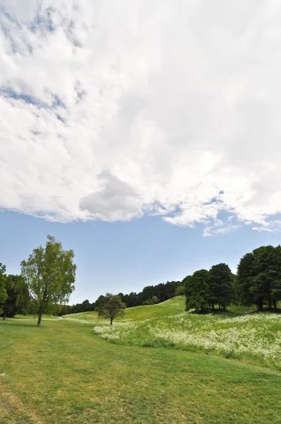 Landschap met groene sappige bladeren en mooie cumulus wolken — Stockfoto