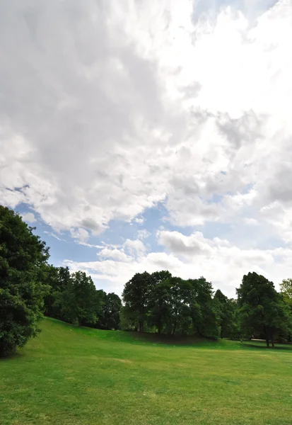 stock image Landscape with green juicy leaves and beautiful cumulus clouds