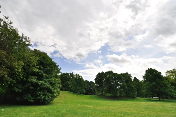 Landschap met groene sappige bladeren en mooie cumulus wolken — Stockfoto