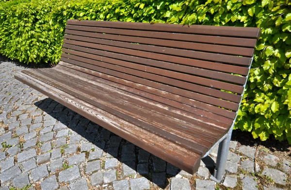 Wooden bench in front of bush — Stock Photo, Image