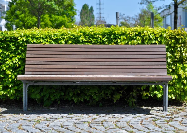 Houten bench voor bush — Stockfoto
