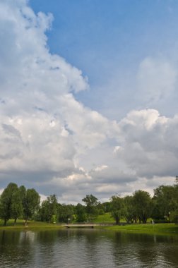 Sulu yeşil yaprakları ve güzel kümülüs bulutları manzara