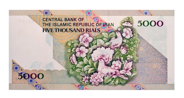 Законопроект о валюте Ирана 5000 риалов — стоковое фото