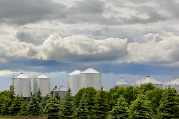 Grain storage bins in rural Saskatchewan — Stock Photo, Image
