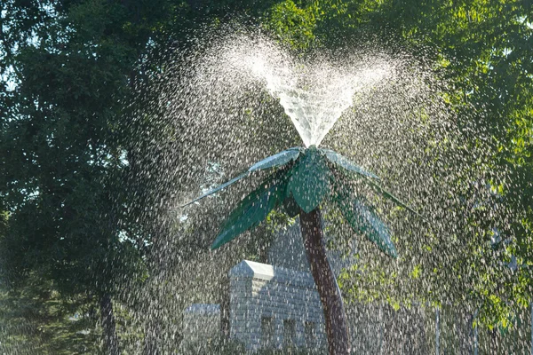 Water fontein boom — Stockfoto