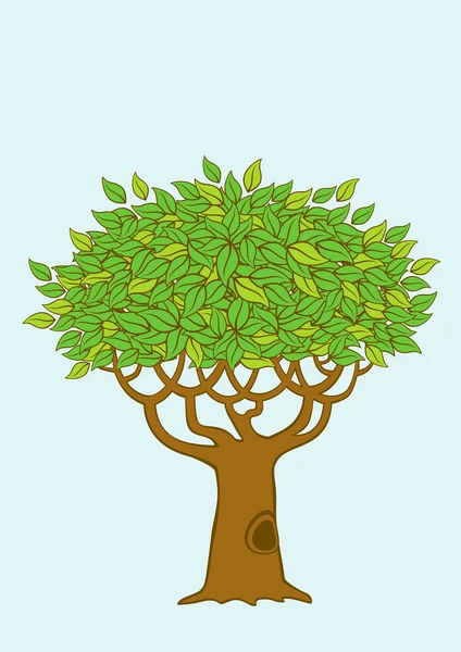 Ilustración del árbol — Vector de stock