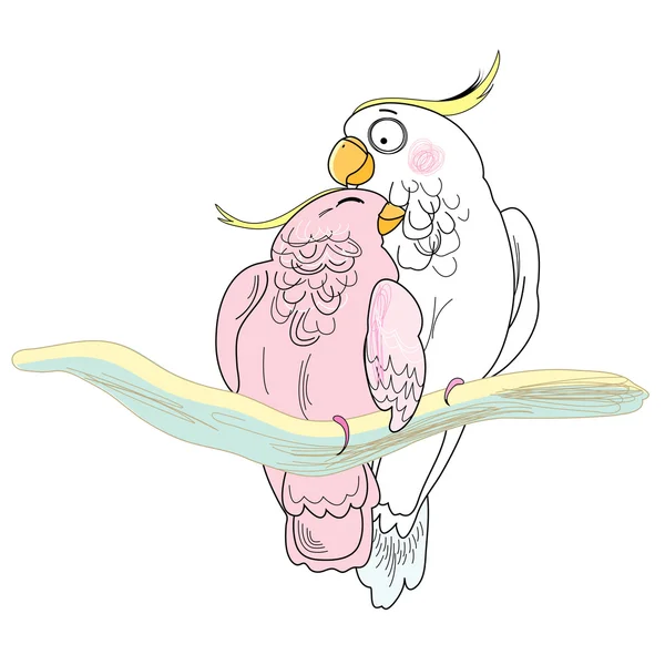 Любовные попугаи — стоковый вектор