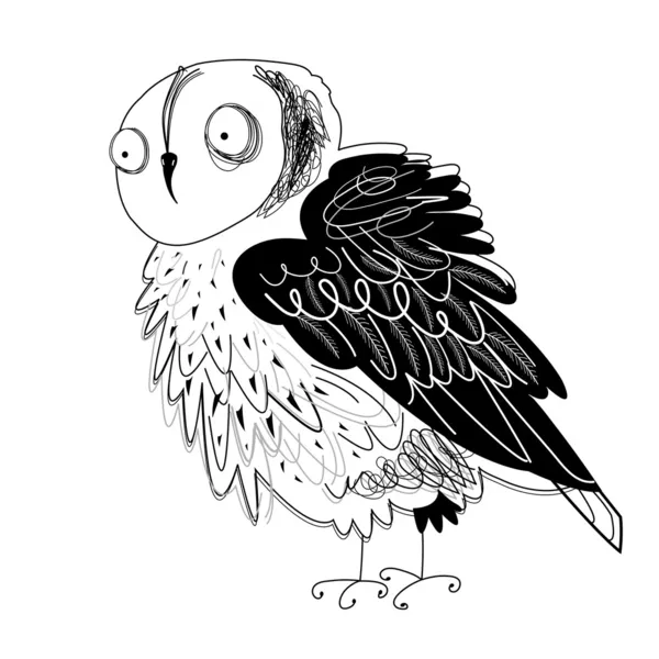 Graphic owl — Stock Vector