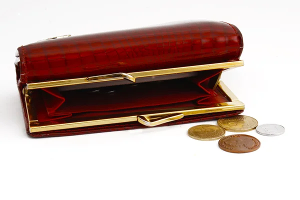 stock image Purse and coins