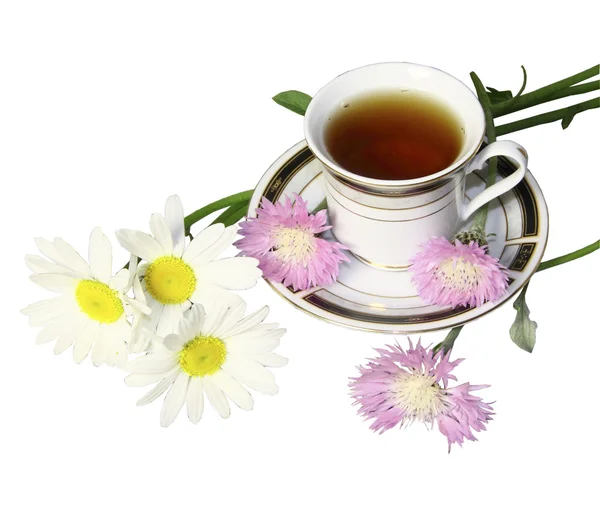 Egy bögre tea camomiles és fehér alapon rózsaszín vadvirágok — Stock Fotó