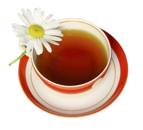 Uma caneca vermelha de chá com uma camomila em um fundo branco — Fotografia de Stock