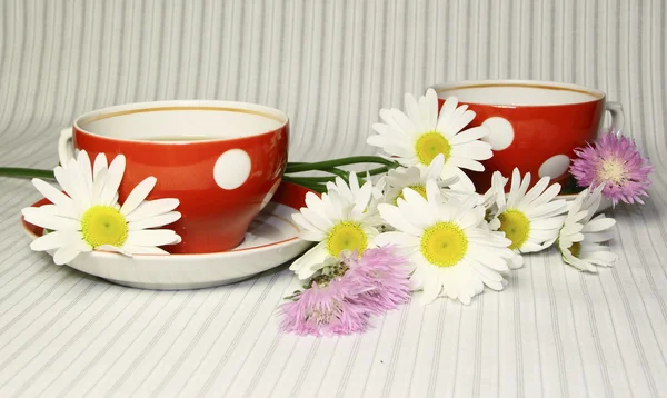 Camomiles ve pembe kır çiçekleri ile iki kırmızı kupalar — Stok fotoğraf