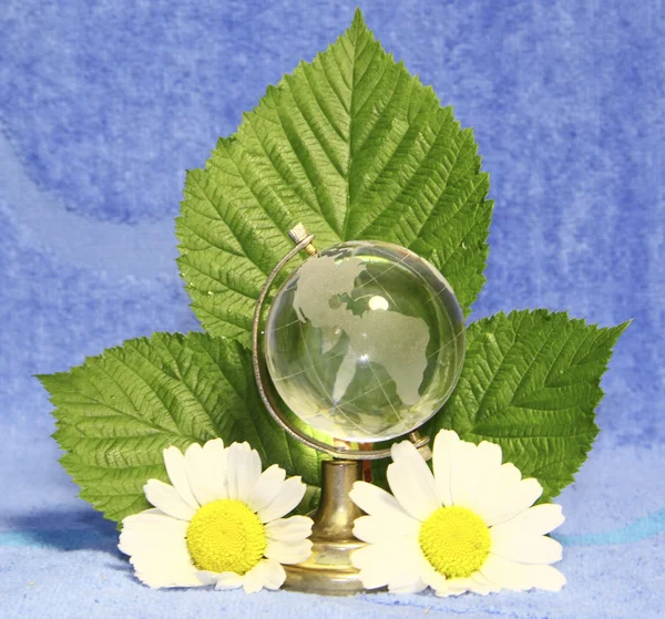 玻璃球形，绿色的叶子和霜降蓝色背景上 — 图库照片