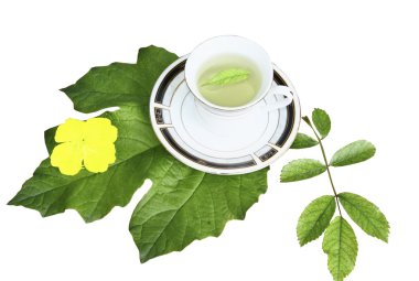 bir kupa üzerinde beyaz zemin üzerine yeşil yaprak çay