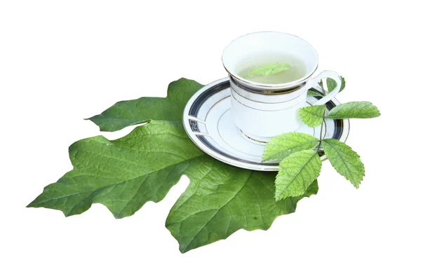 Chá em uma caneca em folha verde em um fundo branco — Fotografia de Stock