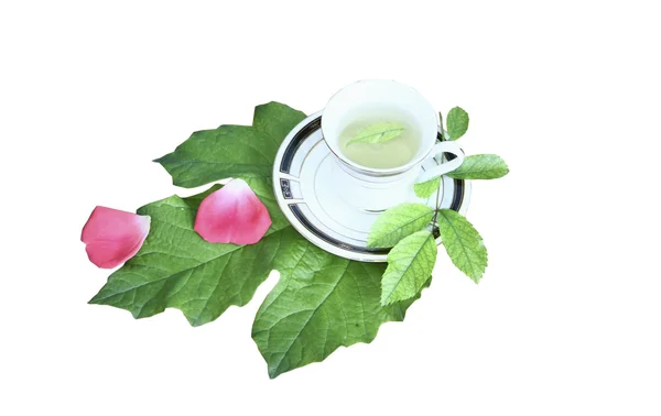 Te i en mugg på gröna blad på vit bakgrund — Stock fotografie