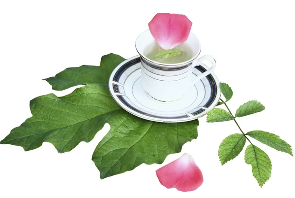 Bir kupa üzerinde beyaz zemin üzerine yeşil yaprak çay — Stok fotoğraf