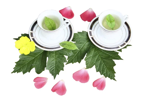 Duas canecas com chá em folha verde em um fundo branco — Fotografia de Stock