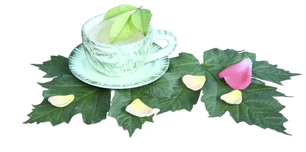 Te i en mugg på gröna blad på vit bakgrund — Stock fotografie