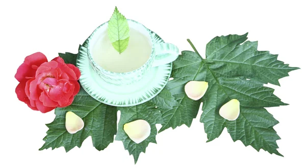 Bir kupa üzerinde beyaz zemin üzerine yeşil yaprak çay — Stok fotoğraf
