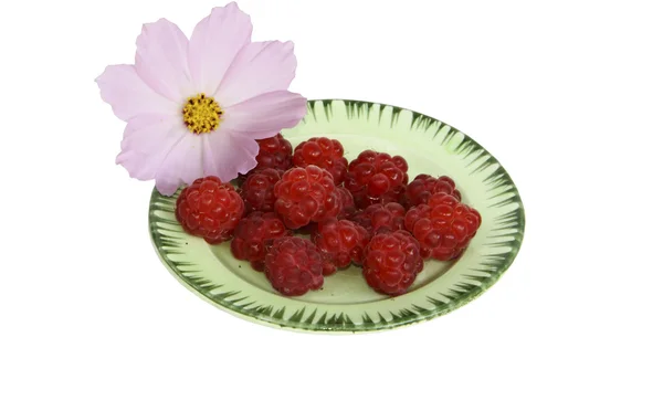 흰색 바탕에 꽃과 함께 접시에 라즈베리 열매 — 스톡 사진