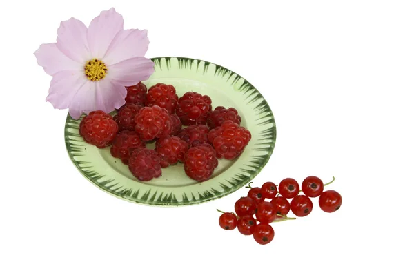 莓果的覆盆子和醋栗与白色背景上的一朵花 — 图库照片