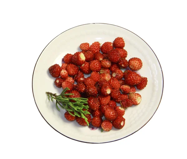 Wild strawberry berries on a round saucer on a white background — Stock Photo, Image