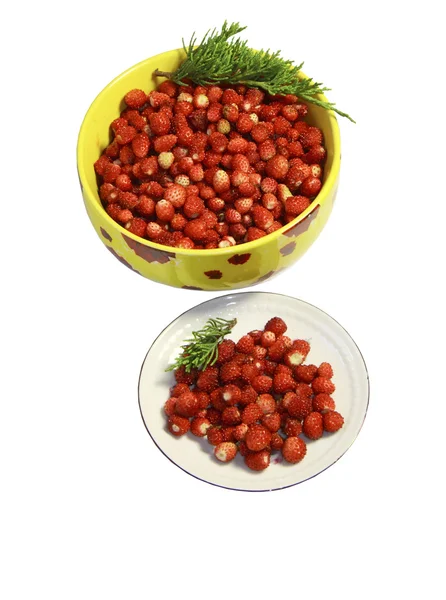 Bayas de fresa silvestres en un plato, un platillo sobre un fondo blanco — Foto de Stock
