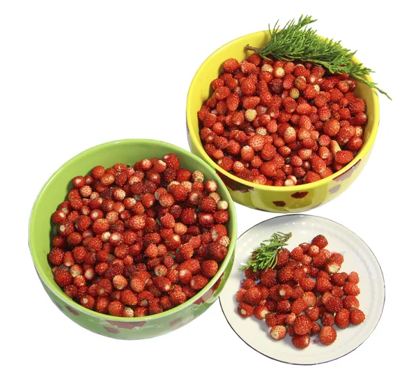 Дикі полуничні ягоди в тарілках, блюдце на білому тлі — стокове фото