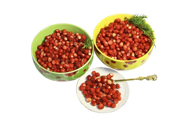 Dzikie owoce jagodowe truskawka w płytkach, talerzyk na białym tle — Zdjęcie stockowe