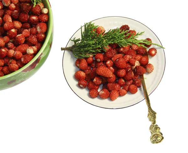 Дикі полуничні ягоди в тарілці, блюдце з ложкою на білому фоні — стокове фото