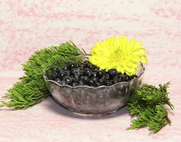 El jarrón de cristal con bayas de arándano está decorado con una flor amarilla y un — Foto de Stock