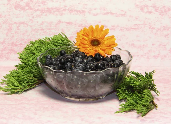 O vaso de vidro com bagas de mirtilo é decorado por uma flor de laranja e um — Fotografia de Stock