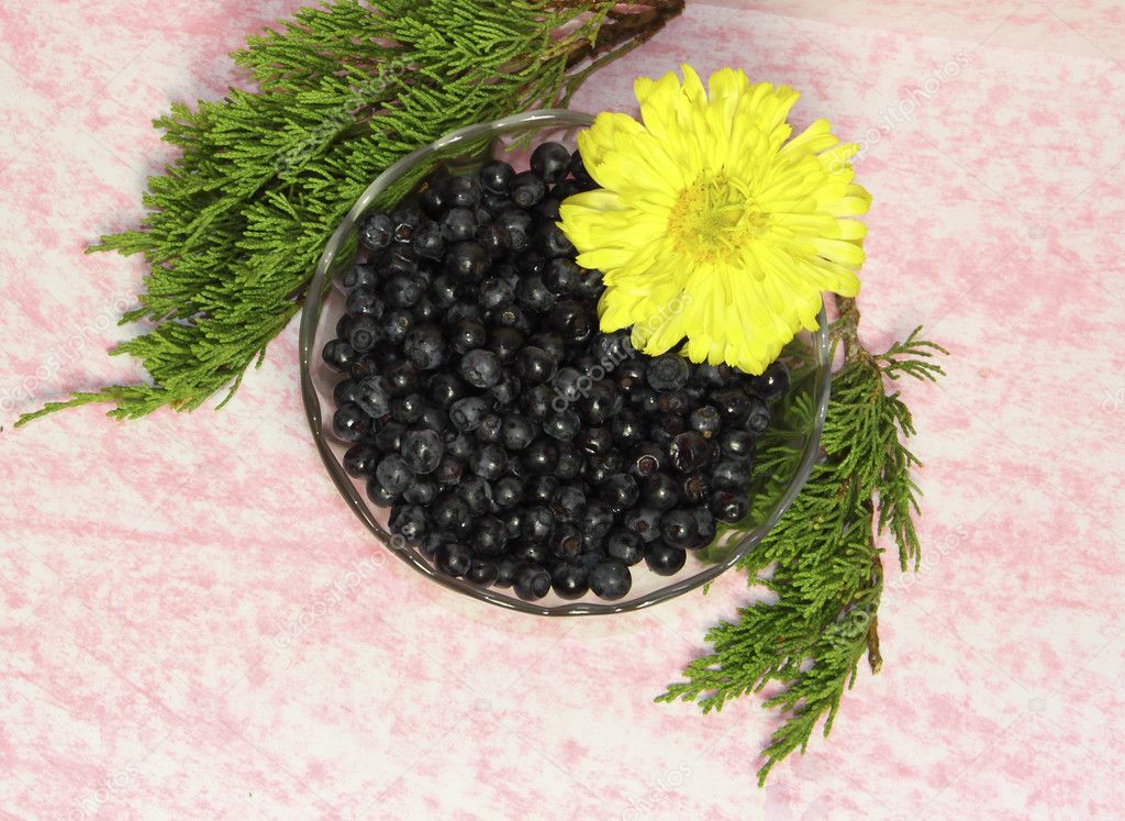 The glass vase with bilberry berries is decorated by a yellow flower and a