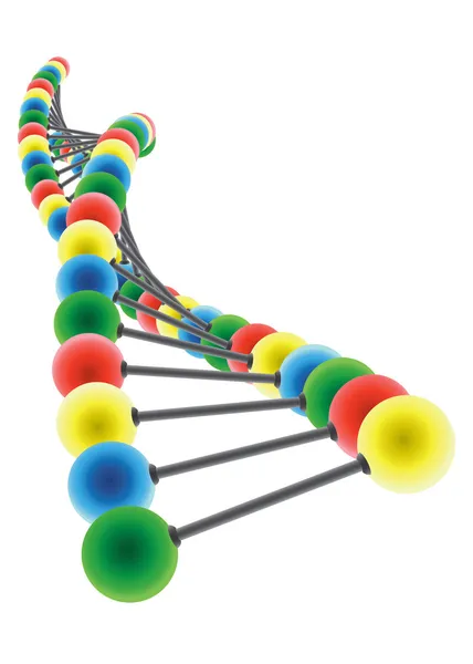 Модель ДНК — стоковый вектор