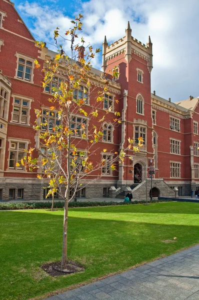 stock image Adelaide university