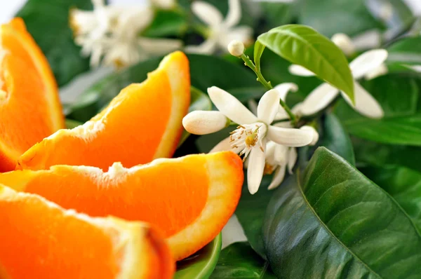 Naranja con hojas y flor Imagen de stock