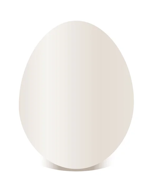Белое яйцо. Векторная иллюстрация — стоковый вектор