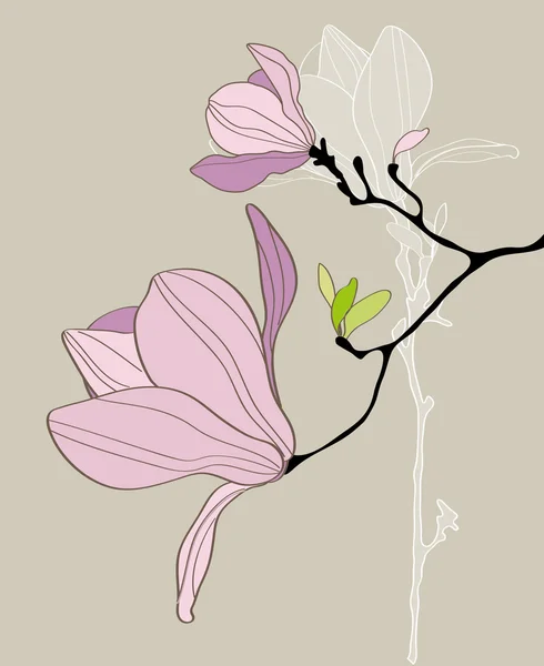 Κάρτα με τυποποιημένο magnolia — Διανυσματικό Αρχείο
